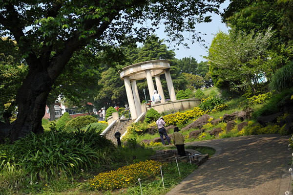 110518 hana 1 DSC_8229.jpg